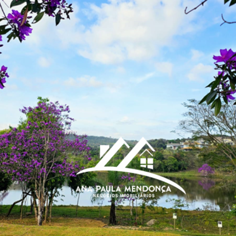 LAGO COM ARV FLORIDAS